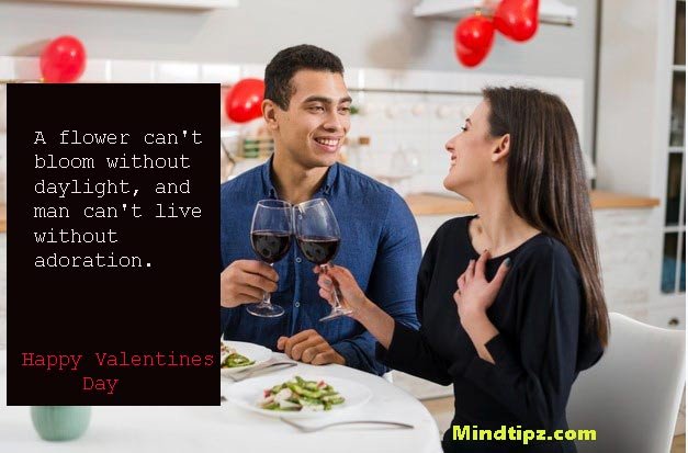 Valentine Day Quotes For Lover